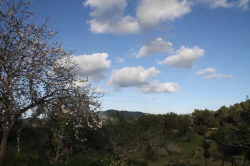Agroturismo La Pitiusa