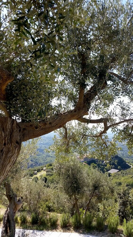 Agroturismo Forcelle Al Sole