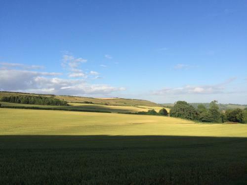 Bed & Breakfast Higher Melcombe Manor