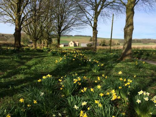 Bed & Breakfast Higher Melcombe Manor