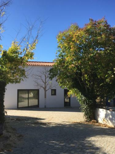Horta Dos Cedros - House Of Art