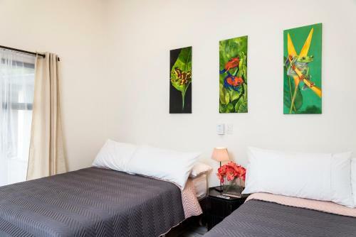 Casa Mar�a Aeropuerto B&B