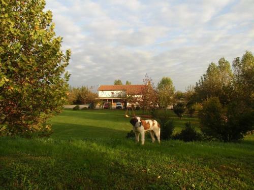Agroturismo Il Podere