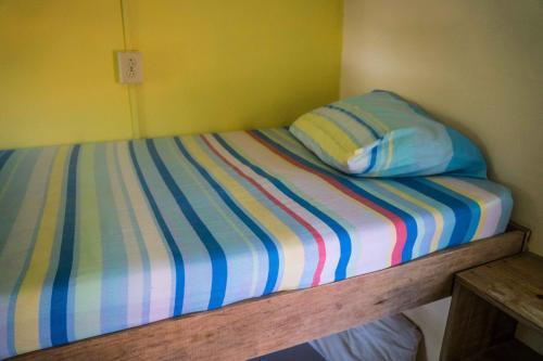 Surfari Bocas B&B