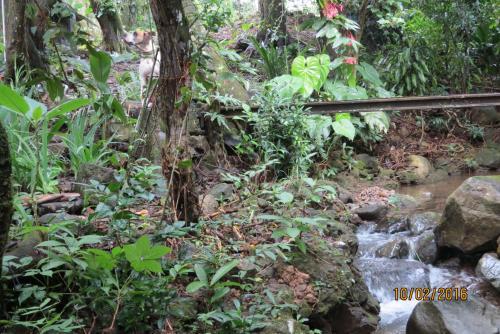 Bed & Breakfast Alto Boquete Hostal
