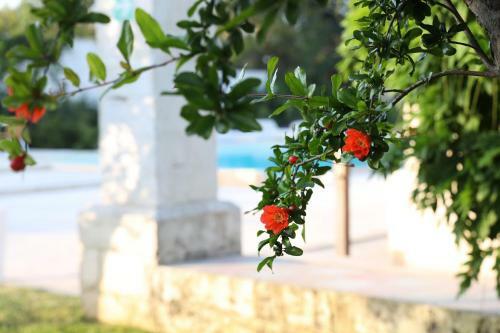 Apartamento Borgo Sentinella