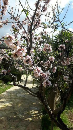 Casale Rocca Russa B&B