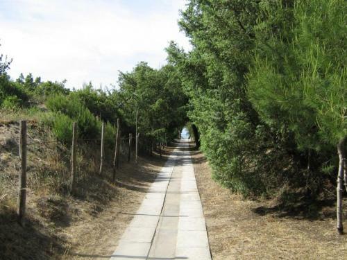Viola Club Village & Camping