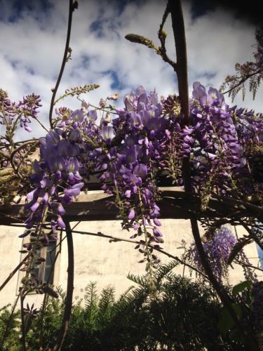 Bed & Breakfast D'oc D'or Chambre D'h�tes