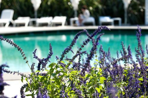 Hotel Boutique Resort Donna Carmela