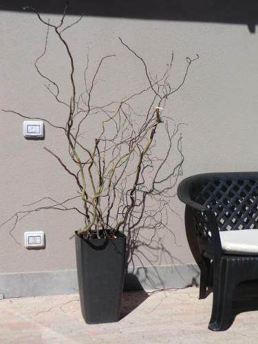 Apartamento Marco Green House