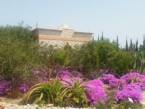 Bed & Breakfast Douar Noujoum