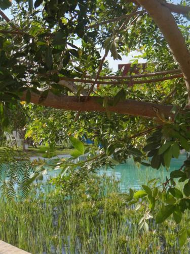 Bed & Breakfast Douar Noujoum