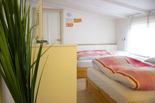 Albergue Onkel Inn