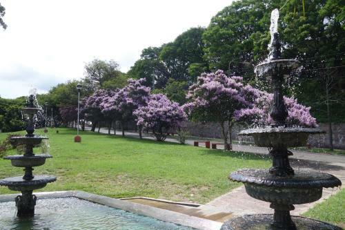 Bed & Breakfast Hostal Alto Verde Jujuy