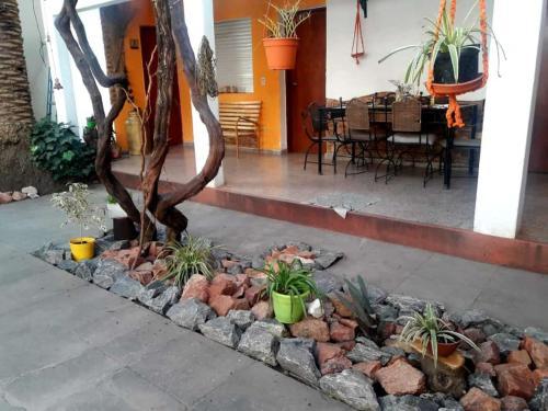 Posada Shekin�h
