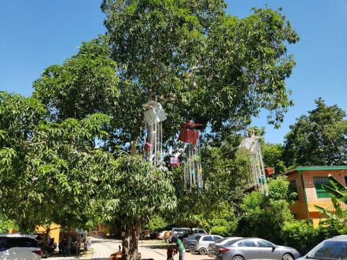 Hotel Hosteria Tonusco Campestre