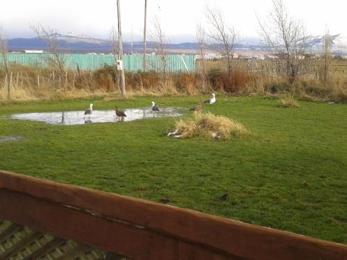 Lodge Caba�as Kauken
