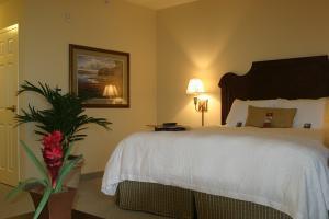 Hotel Hampton Inn & Suites Savannah Historic District