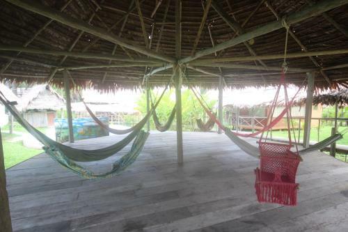 Amazon Rainforest Lodge