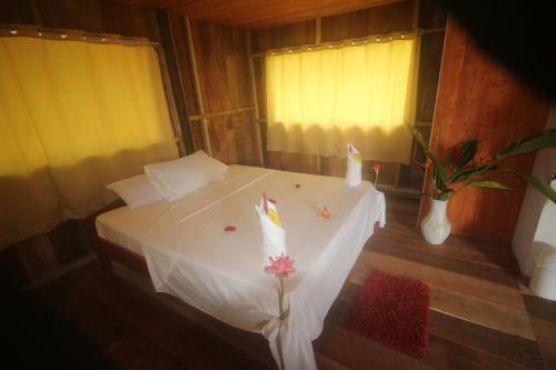Amazon Rainforest Lodge