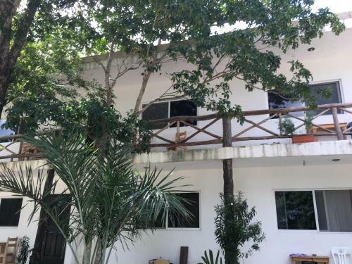 Casa Tortuga