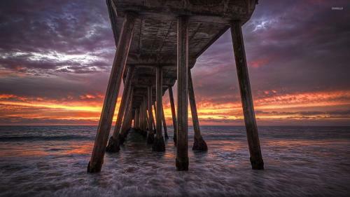Surf City Hostel