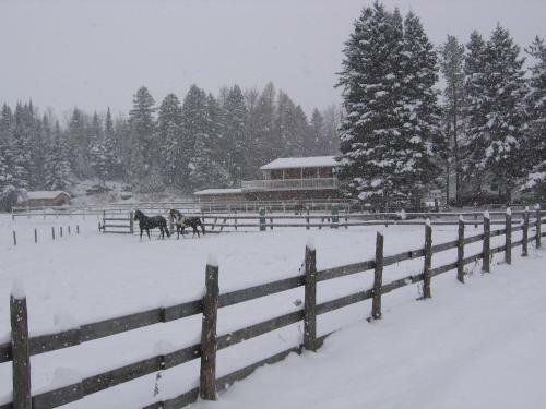 Bed & Breakfast Le G�te Du Gardien Blanc