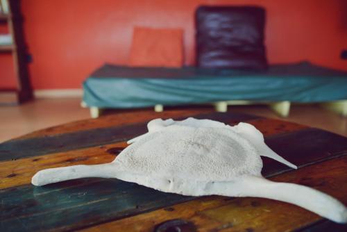 Hostal Yakush