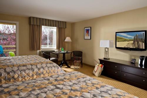 Wellfleet Motel & Lodge