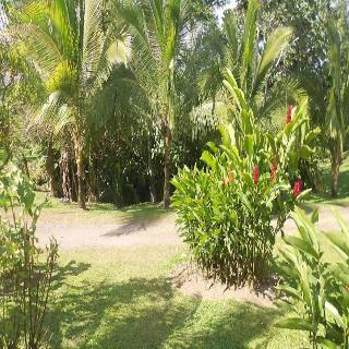 Bed & Breakfast Erupciones Inn