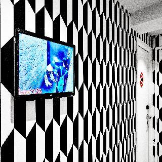 Joke Hotel