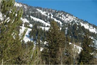 Moose Creek