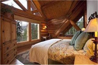 Mountain Lodge Cabin