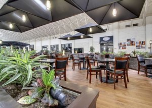 Hotel Quality Inn & Suites