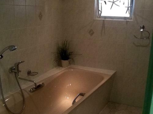 Ferienhaus G�nther