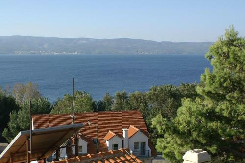 Apartment Duce 2829a