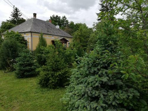 Apartamento Liget Vend�gh�z