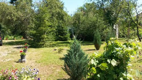 Apartamento Liget Vend�gh�z