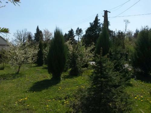 Apartamento Liget Vend�gh�z