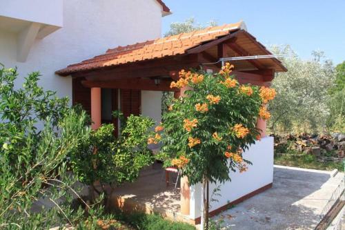 Hostal Studio Susica 8265b