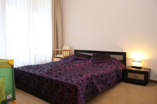 Apartment Olympic Park