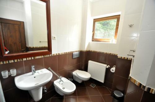 Hostal Pensiunea Denisa