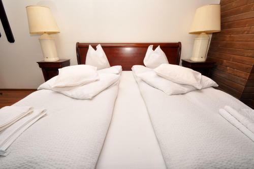 Hostal Pensiunea Denisa