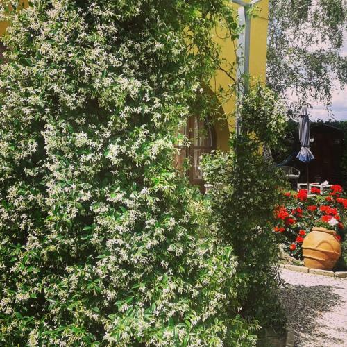 Apartamento Casa Isabella
