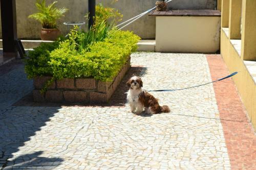 Casas Em Condom�nio Doce Marina