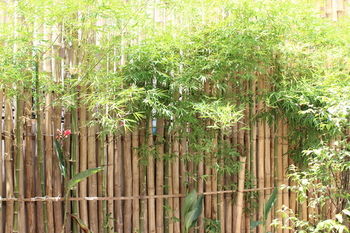 House Boutique Eco Hotel
