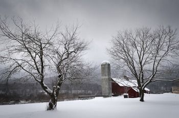 Bed & Breakfast Hill Farm Inn