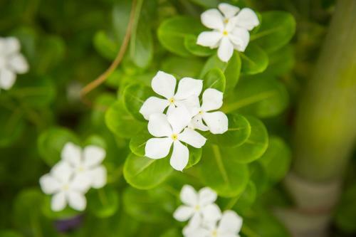 Hotel Ravorn Villa Boutique