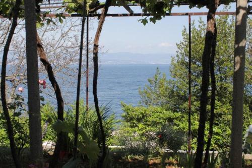 Hostal Double Room Medveja 7775e